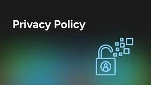 Overview of Privacy Policy at Baji Casino